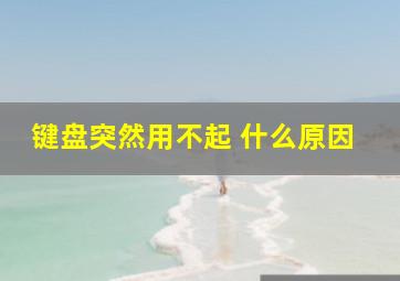 键盘突然用不起 什么原因